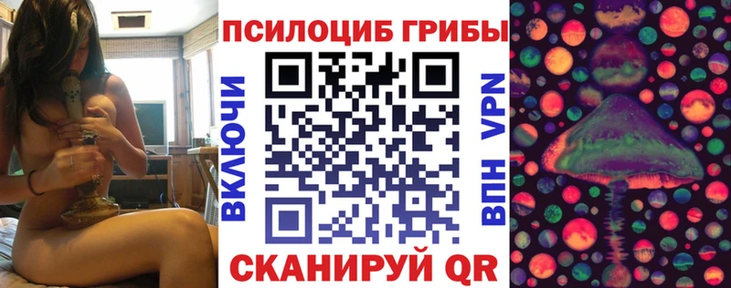 Купить закладки  Ачинск  Галлюциногенные грибы Psilocybine cubensis 